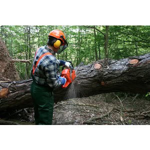 A person wearing safety gear from Scott's Hill Hardware uses a chainsaw to cut a fallen tree in a forested area.